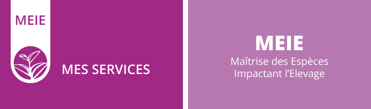espèce MEIE : mes services