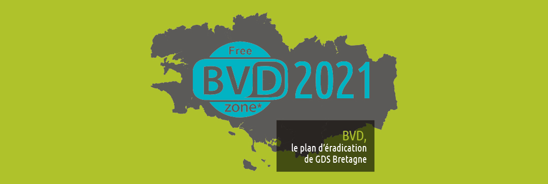 gds-dossier-bvd