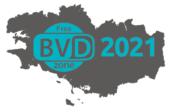 free BVD zone 2021