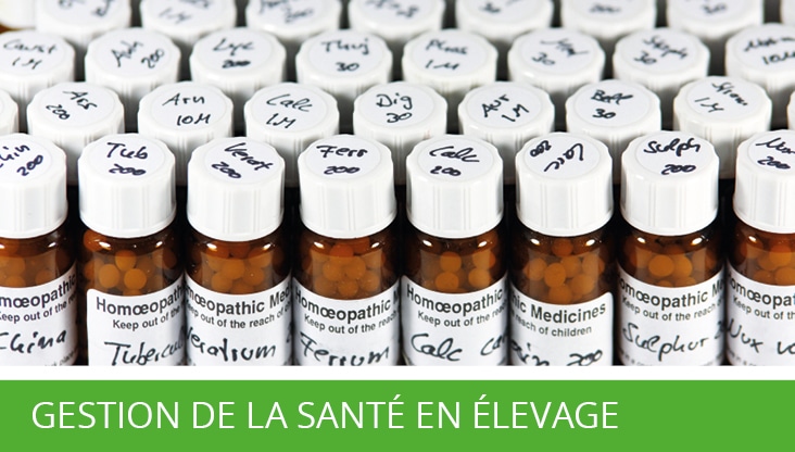 Formation - Gestion de la santé en élevage