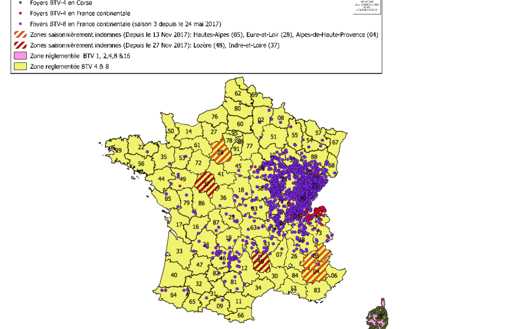 Flash FCO : Situation de la France métropolitaine