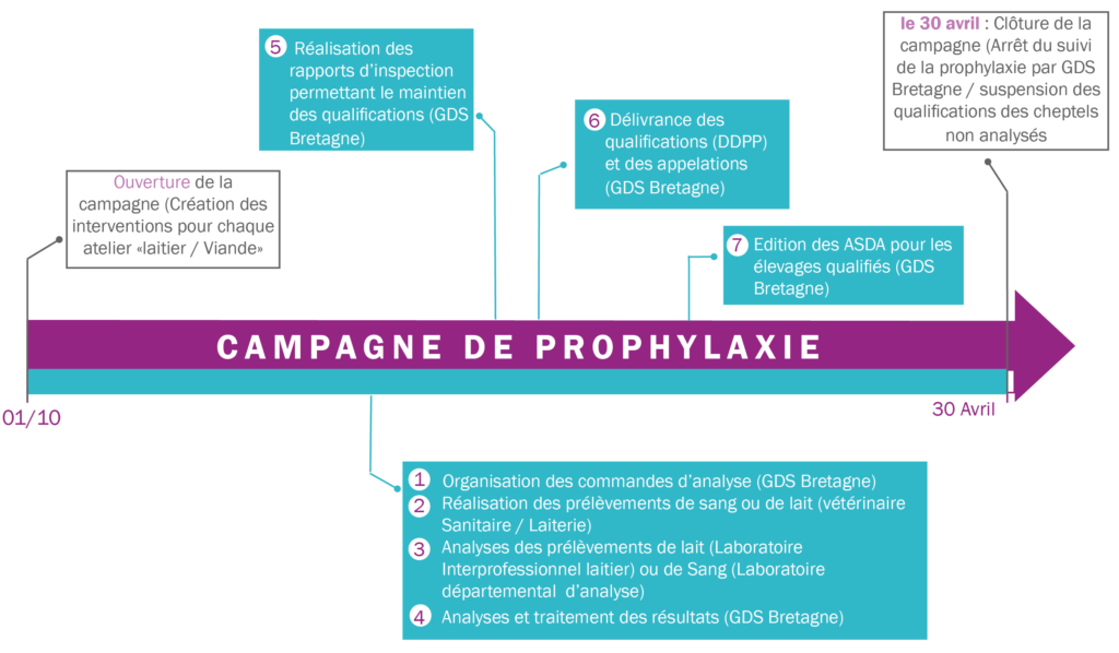 Le suivi de la prophylaxie des élevages bovins | GDS Bretagne