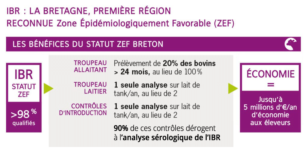 Les bénéfices du statut ZEF Breton